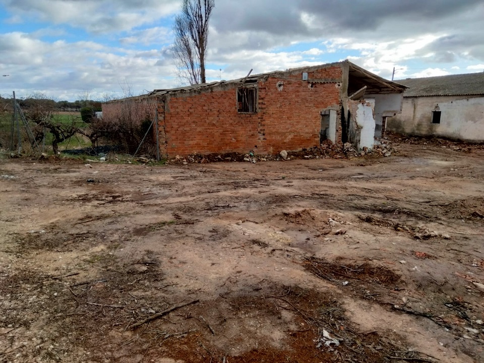 /corps/inmotorrevieja/data/resources/image/00000000VARA DE REY/IMG-20250128-WA0009.jpg